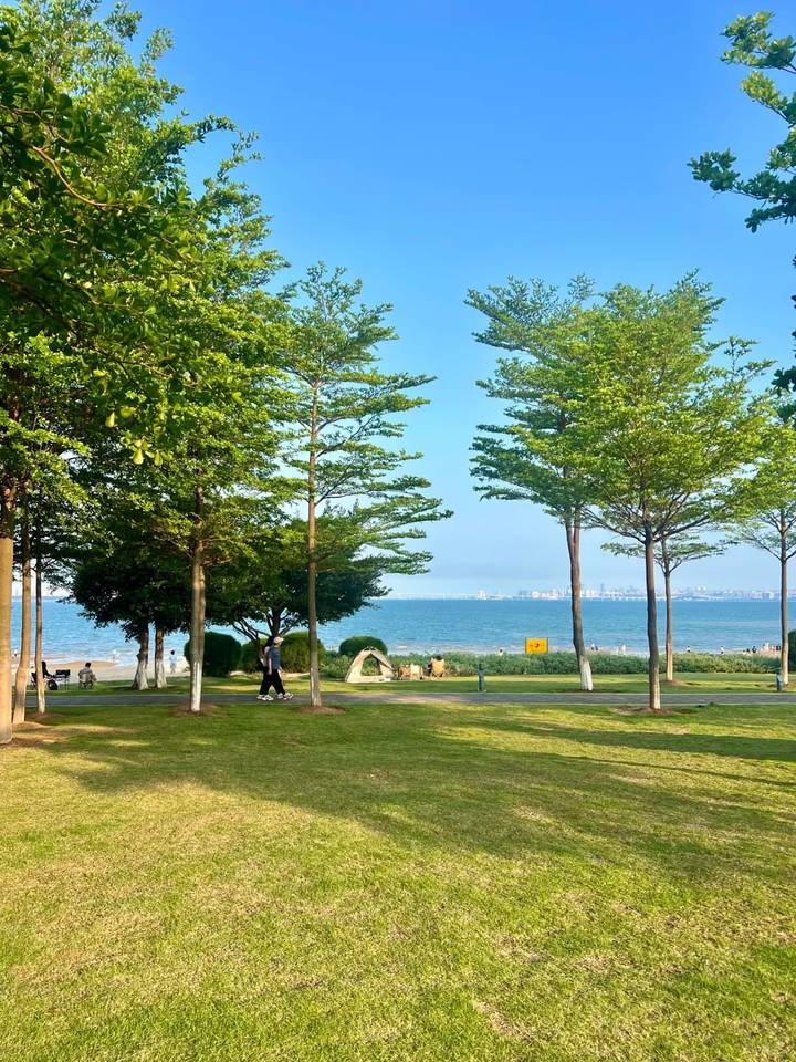 厦门后田沙滩的树影与海岸